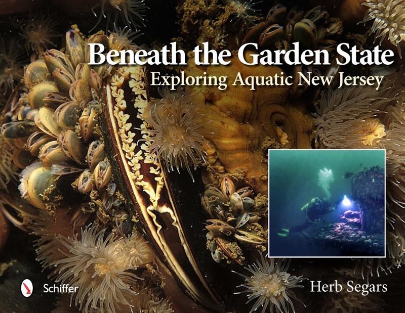 Beneath The Garden State : Exploring Aquatic New Jersey