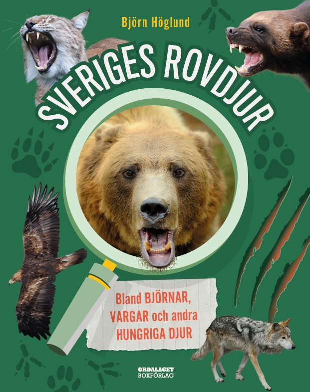Sveriges rovdjur : Bland björnar, vargar och andra hungriga djur