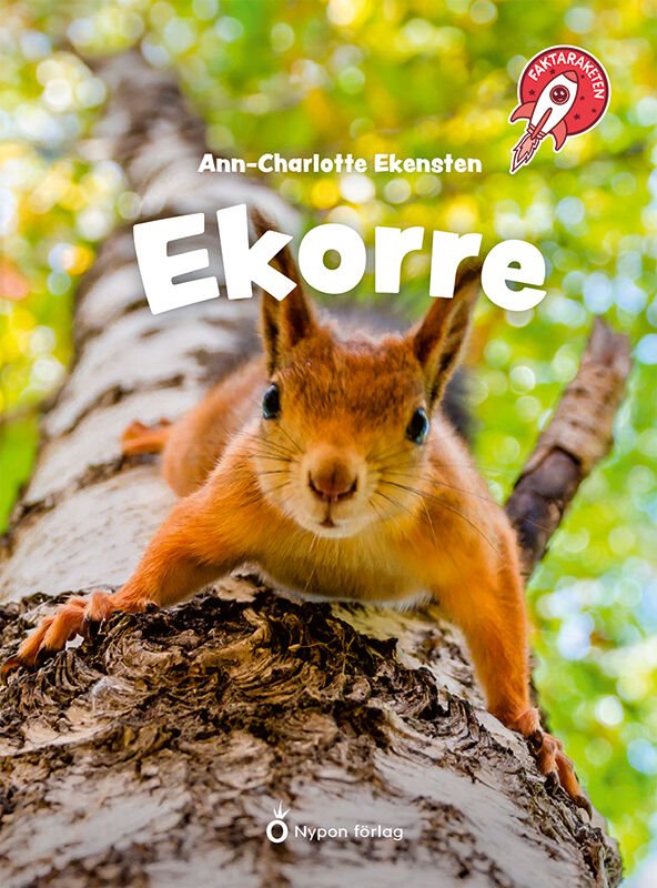 Faktaraketen - Ekorre