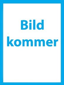 Dunderbarnen: Tor och den magiska hammaren