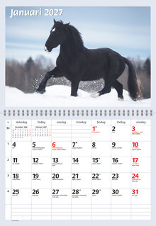 Väggkalender - Hästar FSC